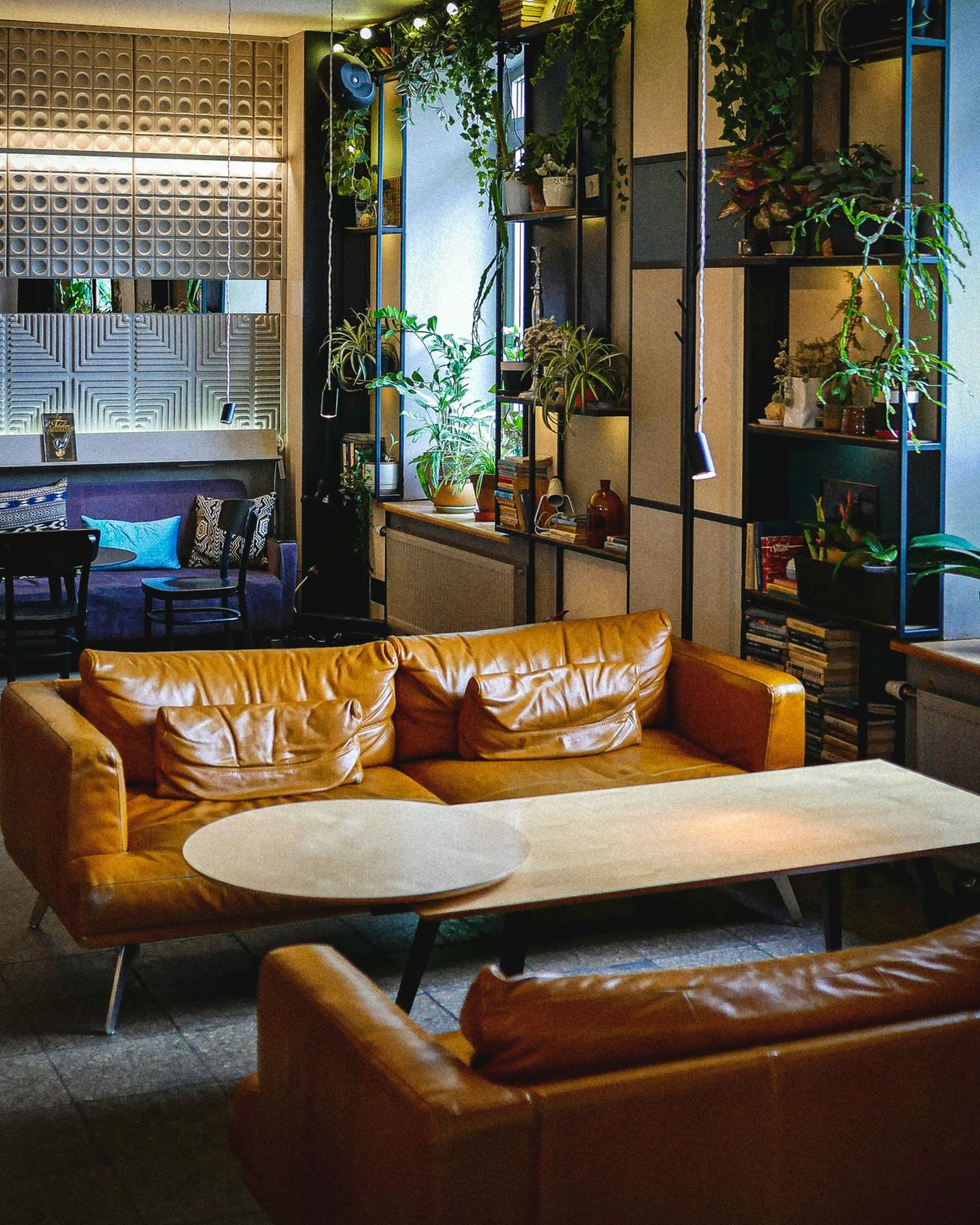 House Rules: Ensuring an Elevated Experience for All