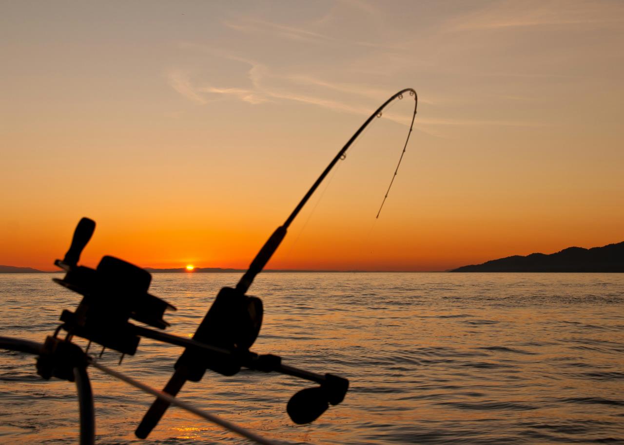 Fishing Lessons