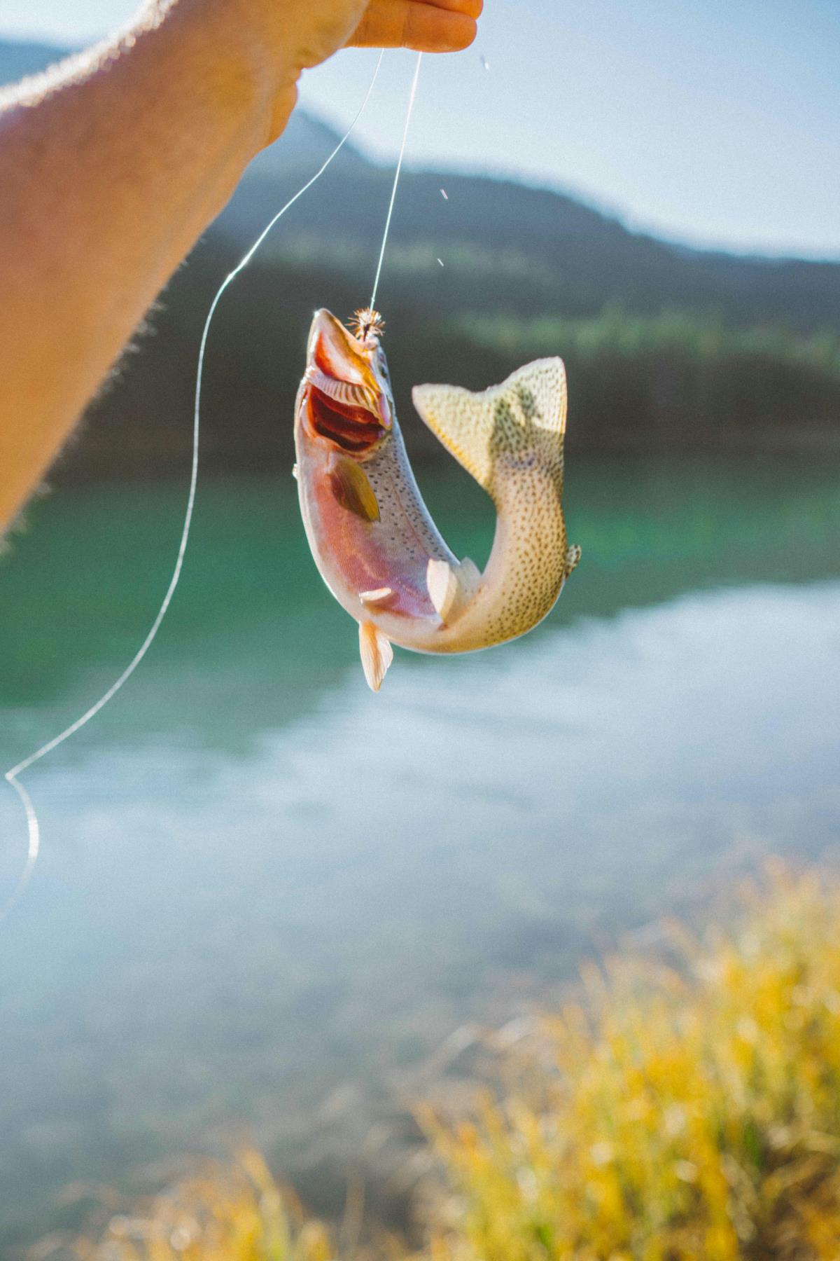 Fishing Lessons