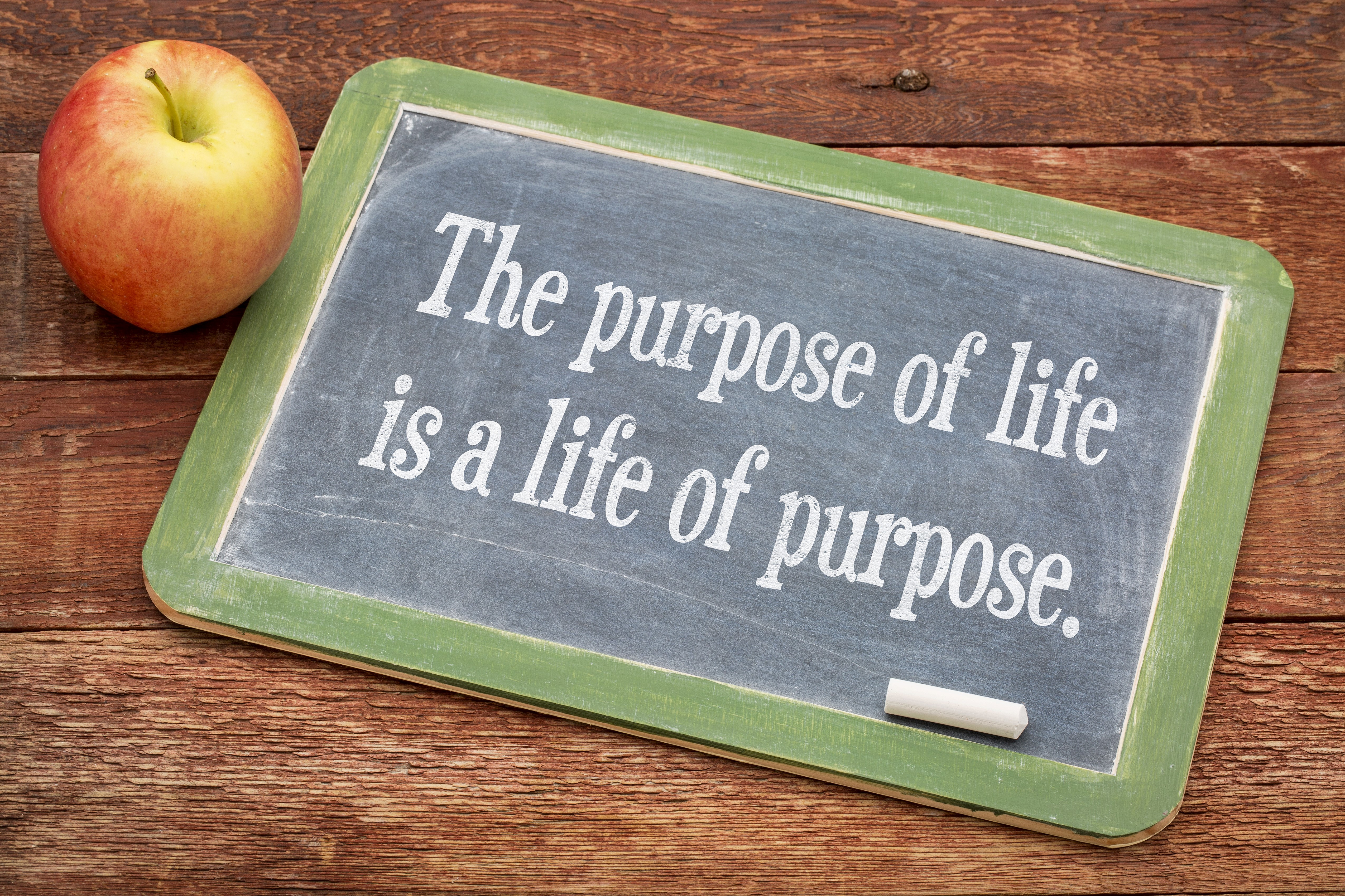 Using Purpose as a Path for Success 