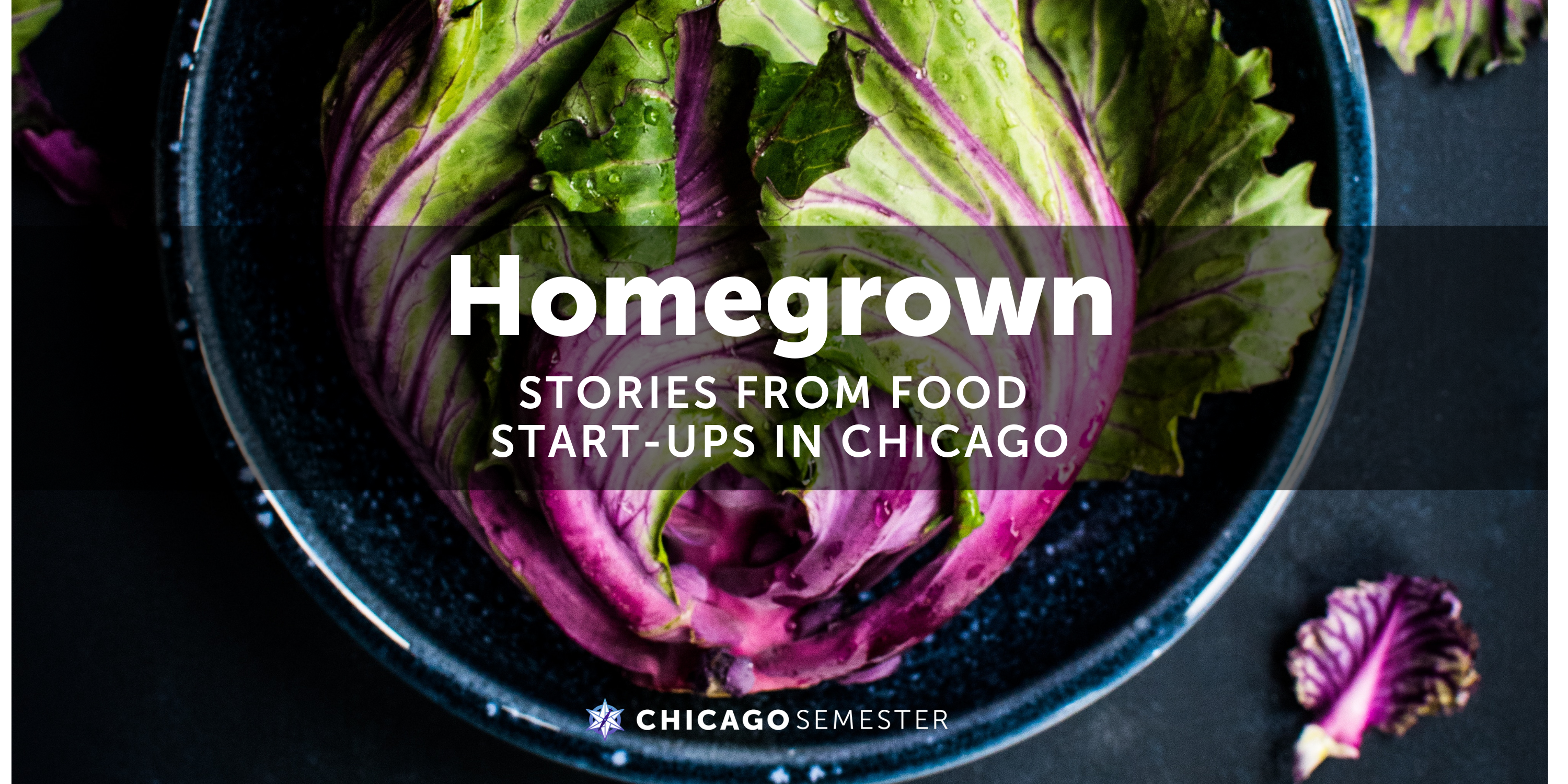Homegrown: Stories from Food Start-Ups in Chicago