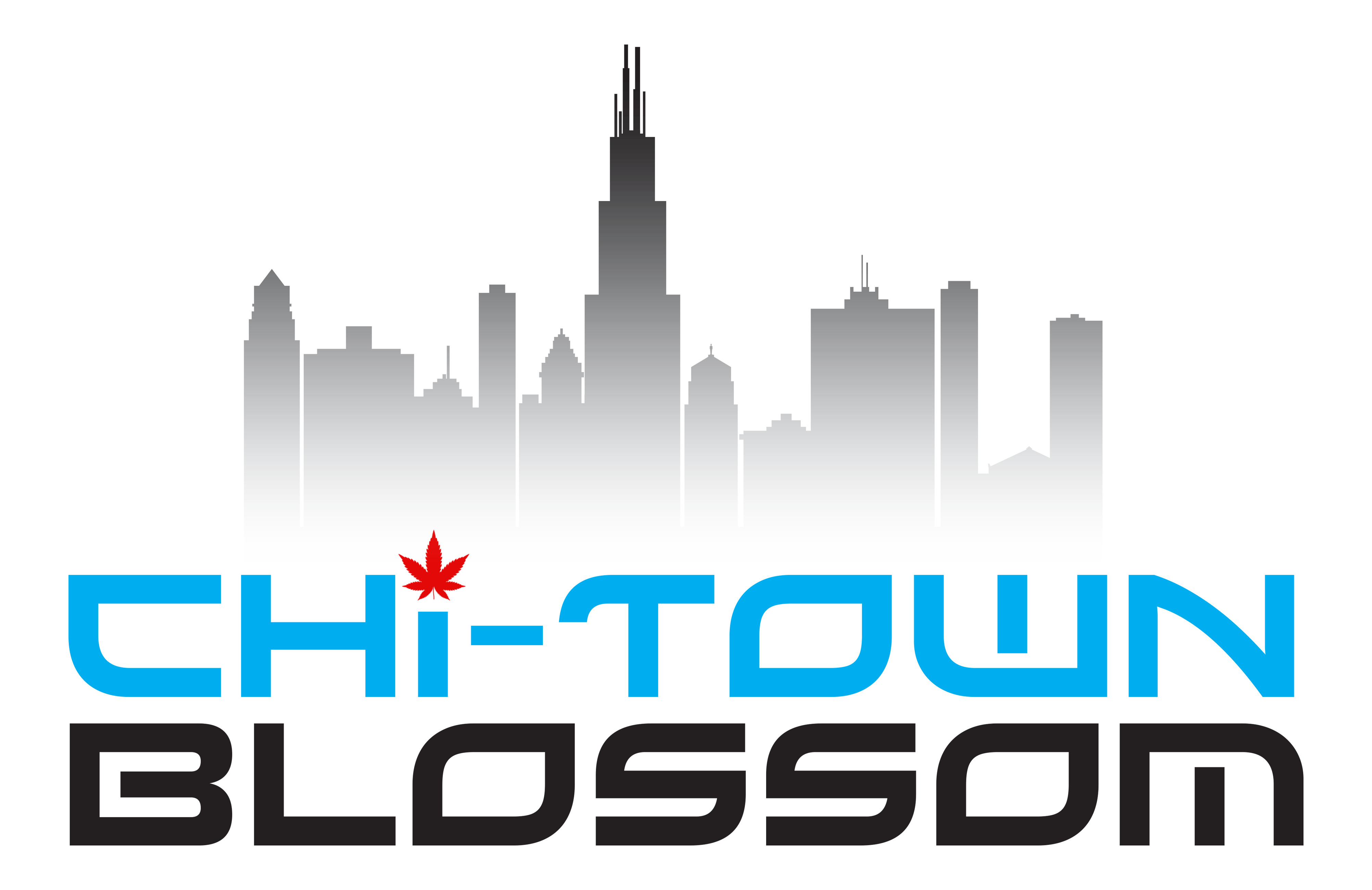Chi-Town Blossom