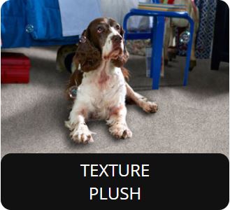 Texture/Plush