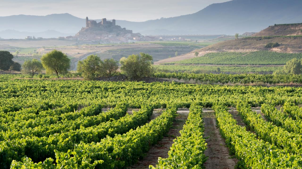 Spanish Wine Masterclass