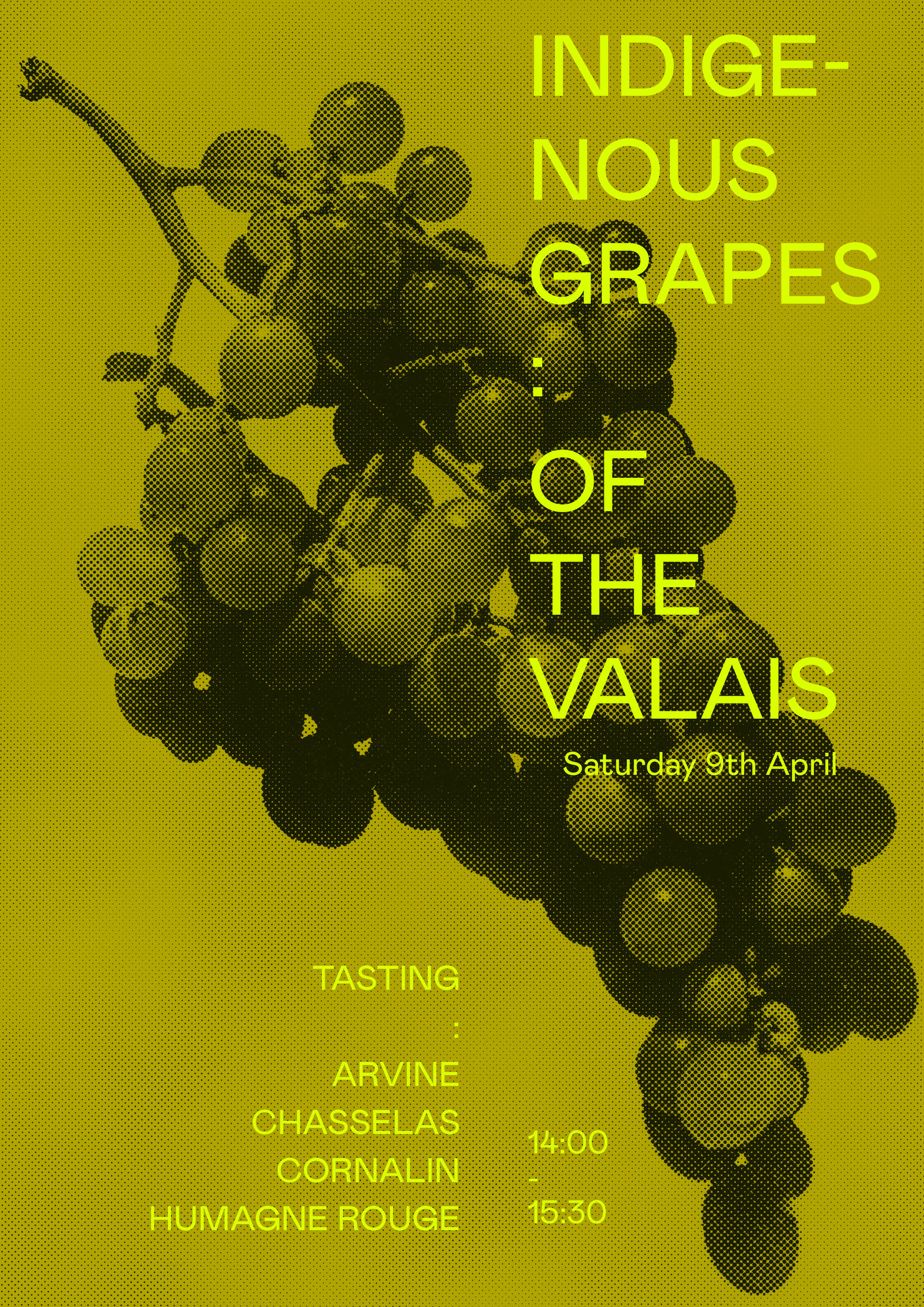 Tasting: Indigenous Grapes from the Valais