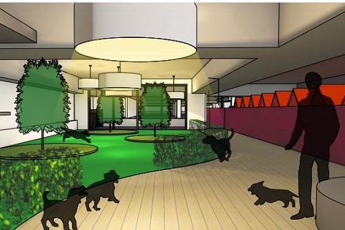 Doggie Day Care