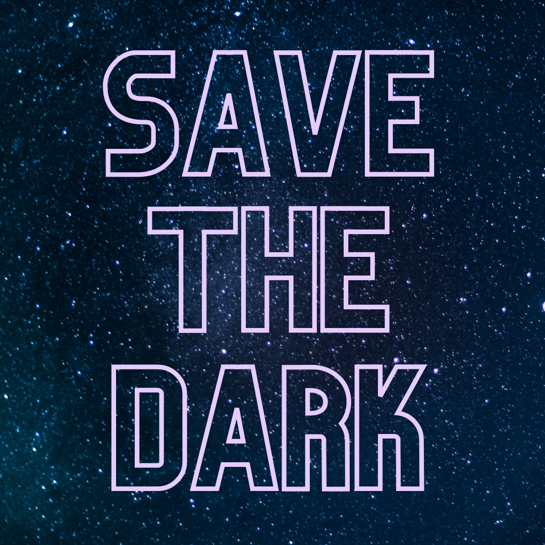 Save the Dark Presentation