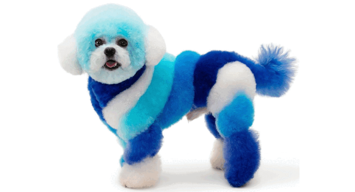 DOG GROOMING AS AN ART FORM