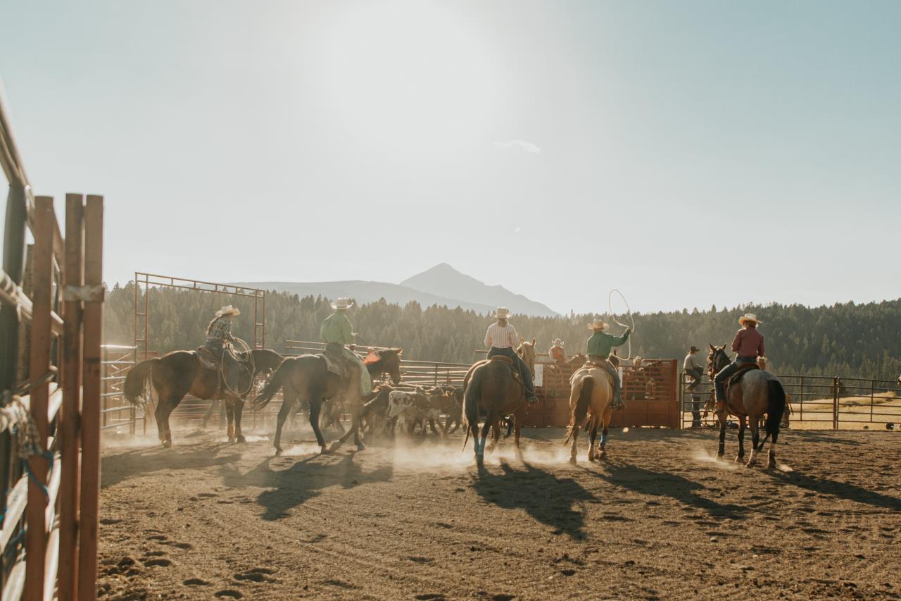 Summertime Rodeo Summer Rodeo