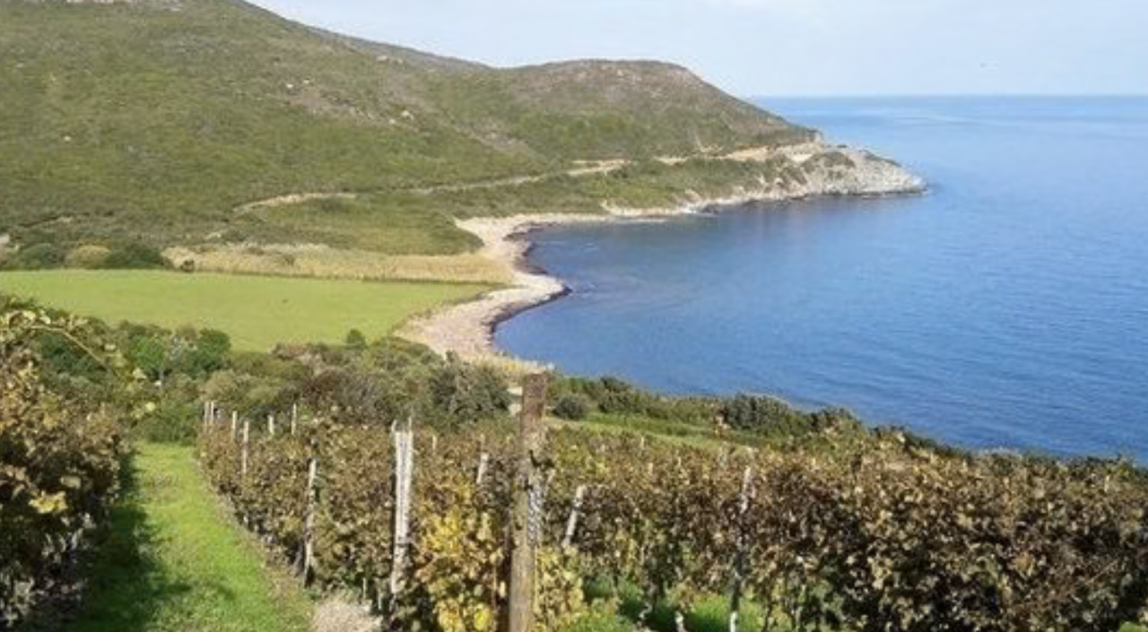 Soirée corse au Parloir