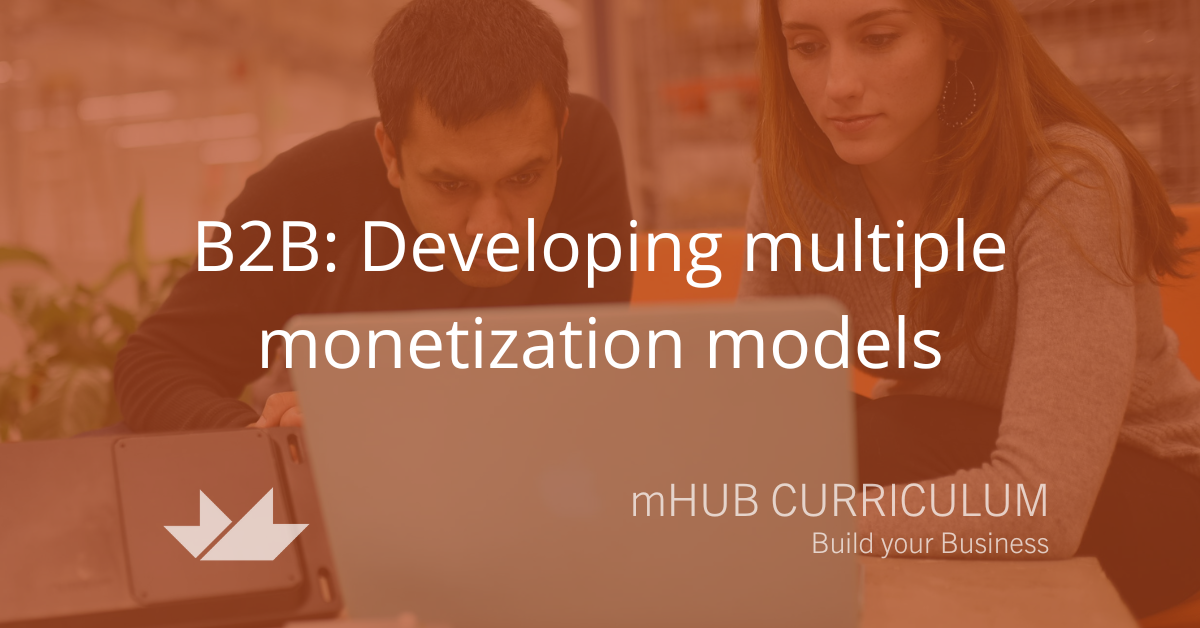 B2B: Developing multiple monetization models