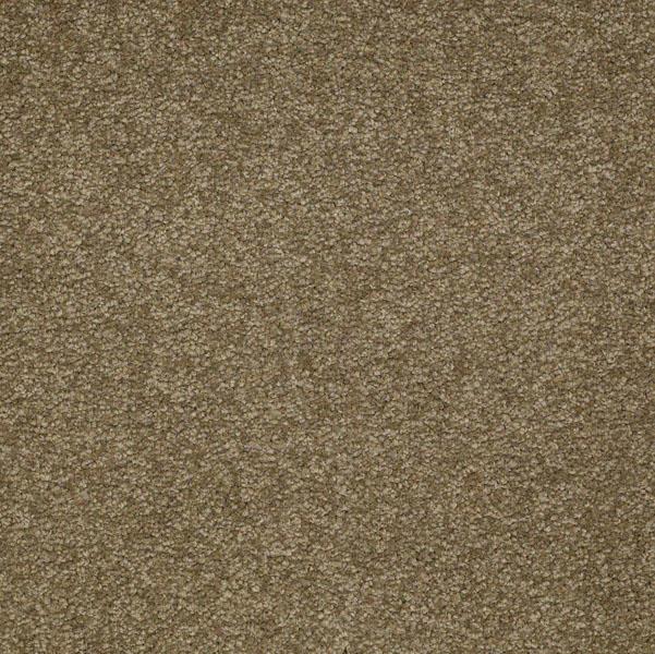 Shaw's MAGICATLAST2(15 TEXTURE carpet in color QUARTZ