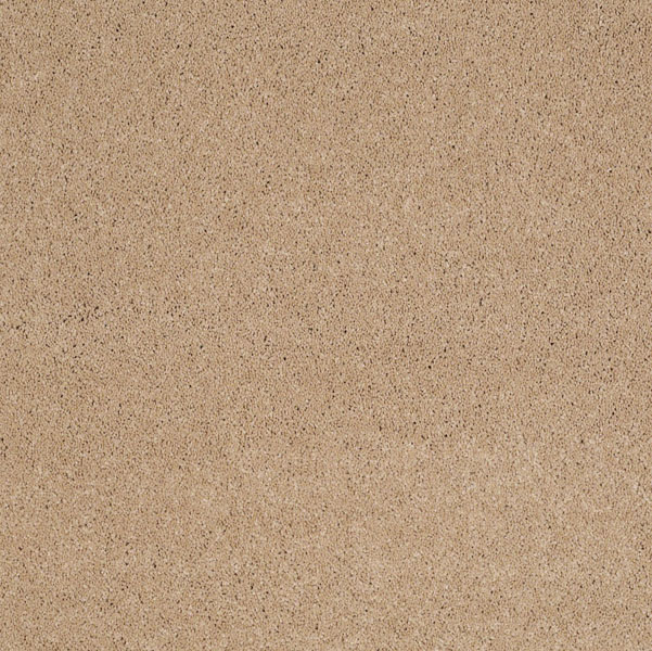 Shaw Cashmere IV Ridgeway Walk