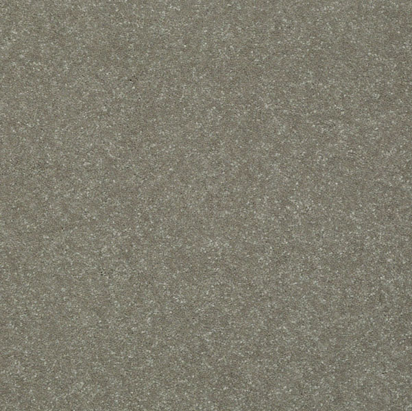 Shaw Secret Escape 1 12 Mushroom