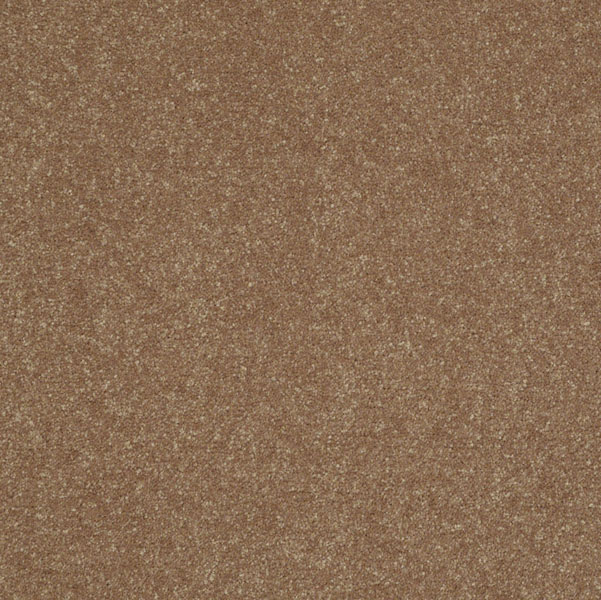 Shaw Secret Escape 2 15 Gingersnaps