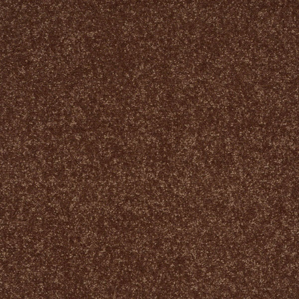 Shaw Secret Escape 3 15 Honey Comb