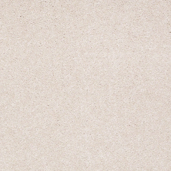 Shaw's MAGICATLAST3(15 TEXTURE carpet in color SEA SALT