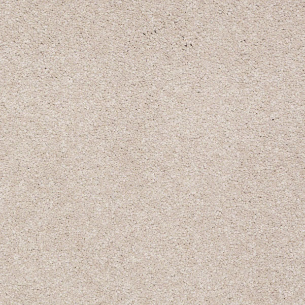 Shaw's MAGICATLAST2(15 TEXTURE carpet in color QUARTZ