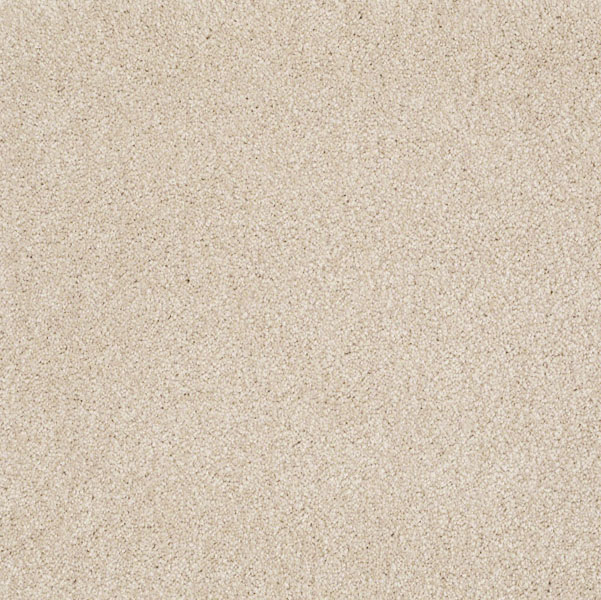 Shaw What's Up Sandy Shore