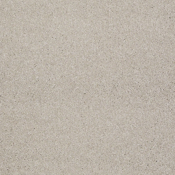 Shaw What's Up Soft Chamois