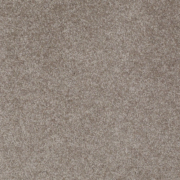 Shaw What's Up Ashen