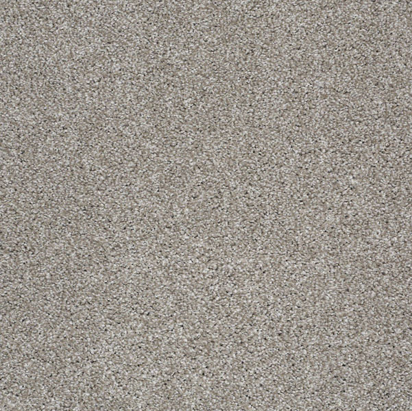 Shaw What's Up Cocoa