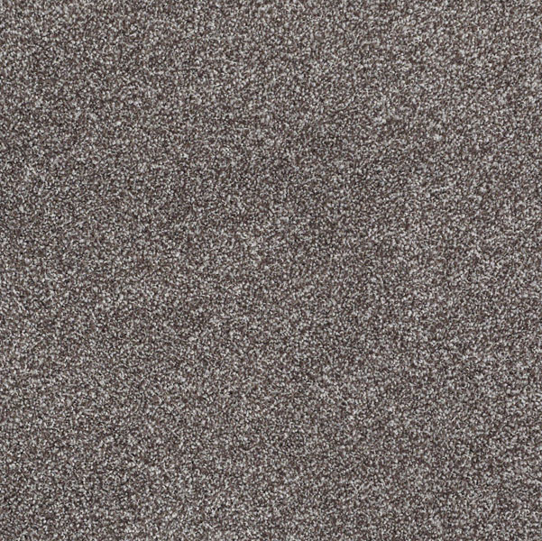 Shaw What's Up Bear Mountain