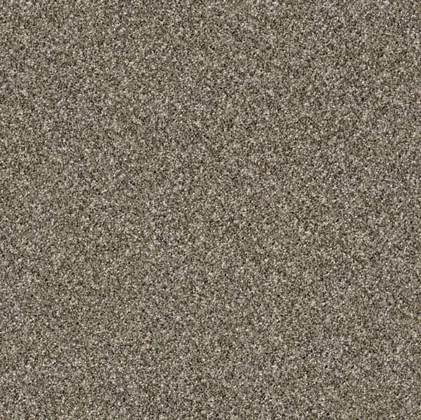 Shaw Of Course We Can 2 12 Arbor