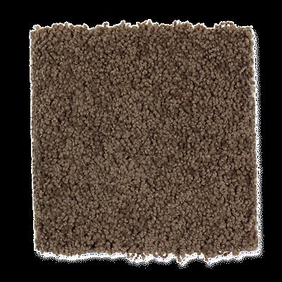 Mohawk's Finest Fashion (S) Carpet In Color Piano Brown