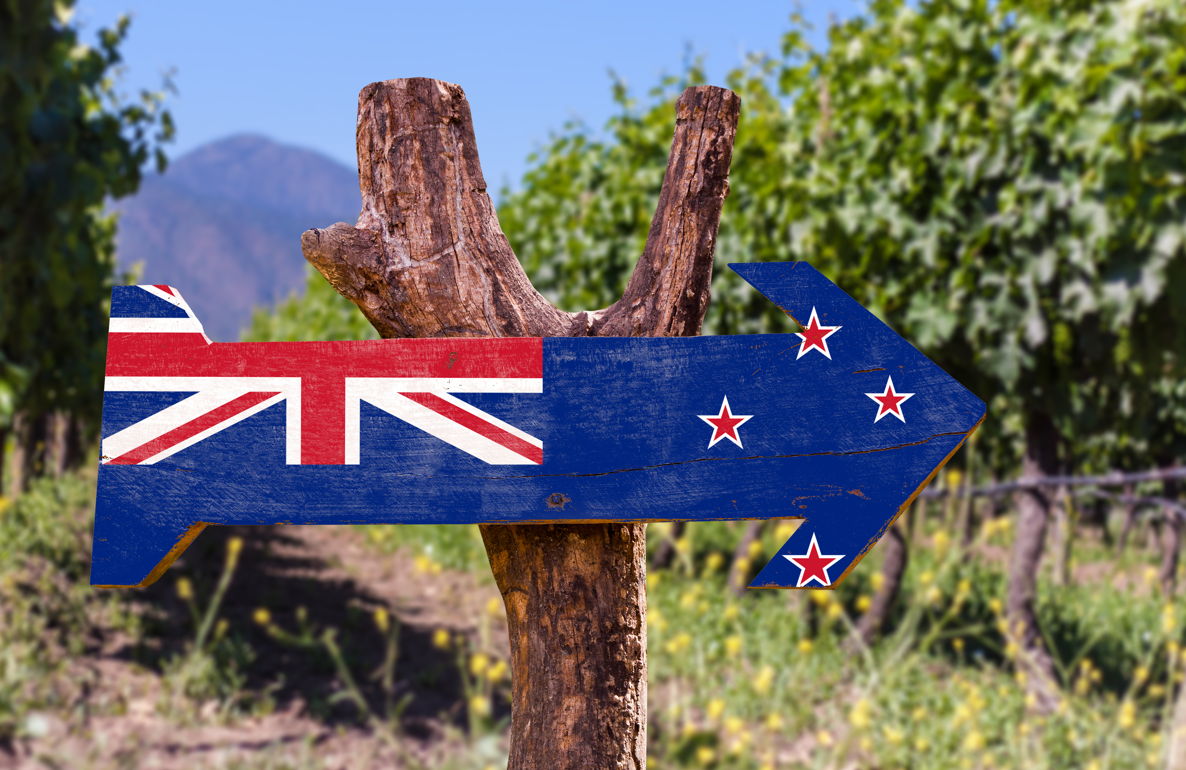 New Zealand Wine Tasting