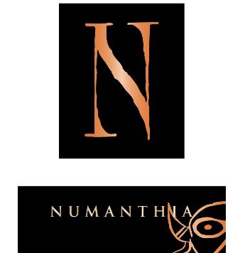Bodegas Numanthia 